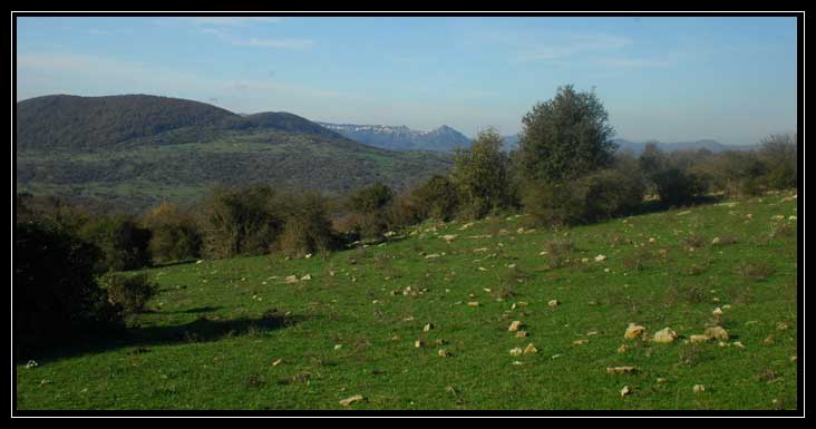 Le montagne intorno a Tolfa: Monte dell''Acqua Tosta