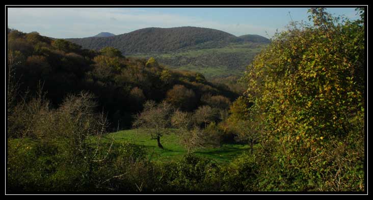 Le montagne intorno a Tolfa: Monte dell''Acqua Tosta
