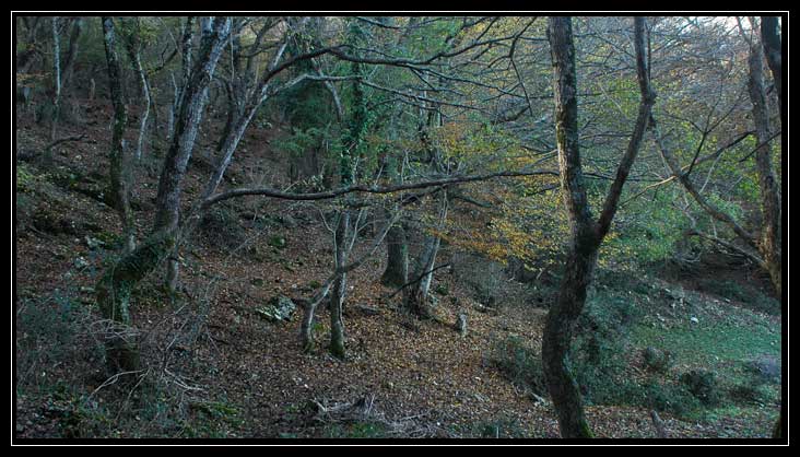 Le montagne intorno a Tolfa: Monte dell''Acqua Tosta