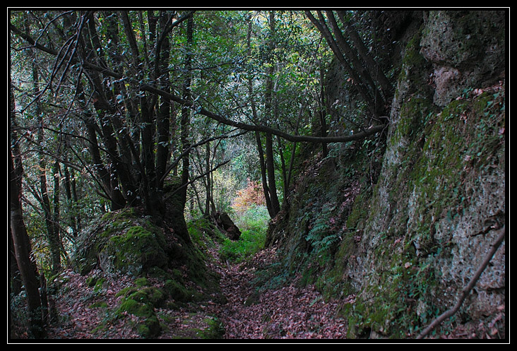 Cascata della Mola nei Monti Ceriti (Cerveteri)