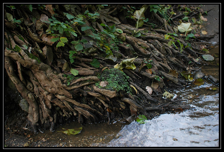 Cascata della Mola nei Monti Ceriti (Cerveteri)