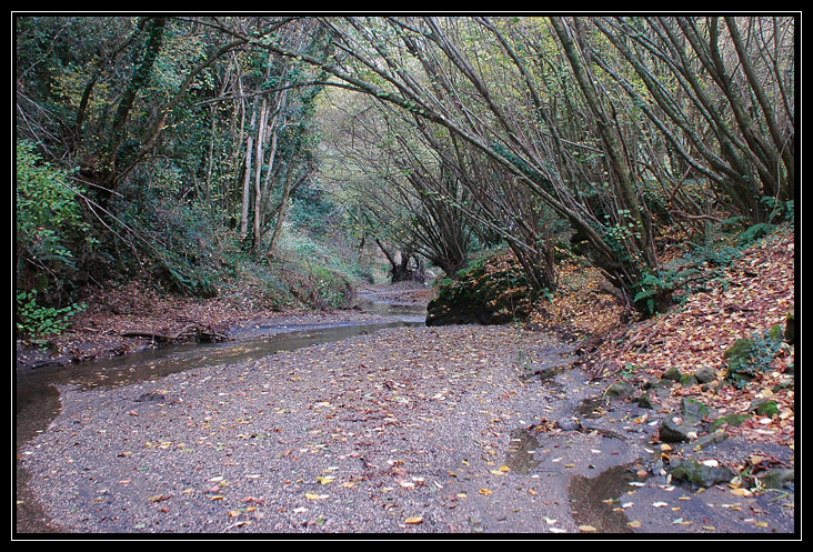 Cascata della Mola nei Monti Ceriti (Cerveteri)