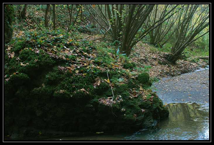 Cascata della Mola nei Monti Ceriti (Cerveteri)