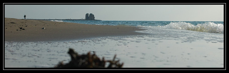 La palude di Torre Flavia