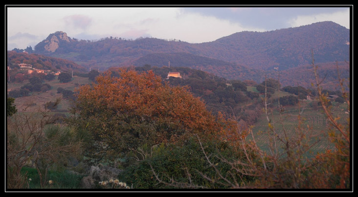 Le montagne intorno a Tolfa: Monte dell''Acqua Tosta