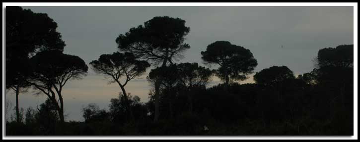 Incontri a Castel Fusano
