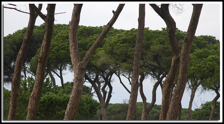 Incontri a Castel Fusano