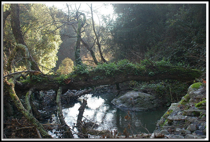 La valle Luterana e le cascate delle Ferriere