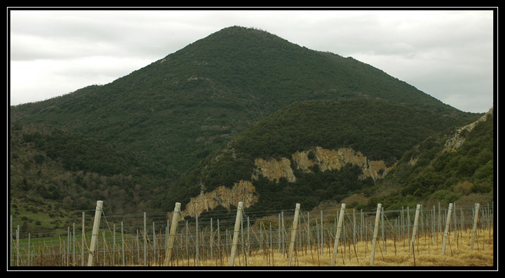 Nei boschi di Sasso: Monte Tosto (Sito BioItaly IT6003006)