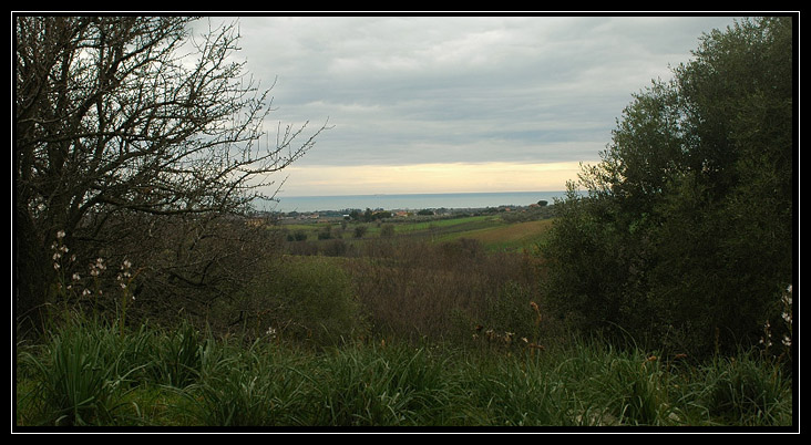 Nei boschi di Sasso: Monte Tosto (Sito BioItaly IT6003006)