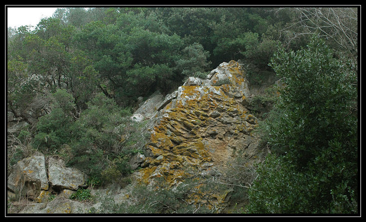 Nei boschi di Sasso: Monte Tosto (Sito BioItaly IT6003006)