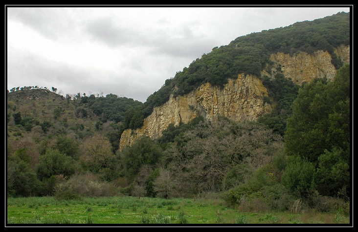 Nei boschi di Sasso: Monte Tosto (Sito BioItaly IT6003006)