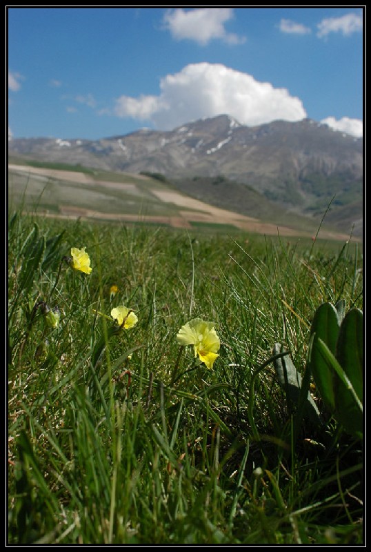 Umbria