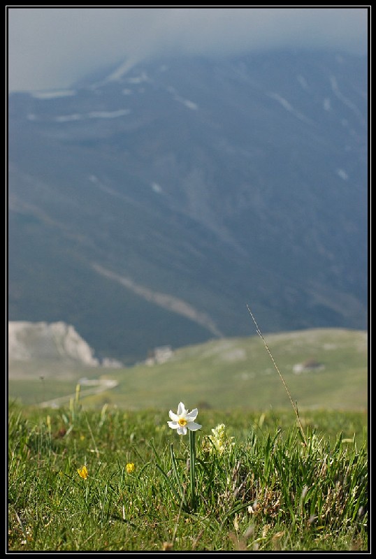 Umbria