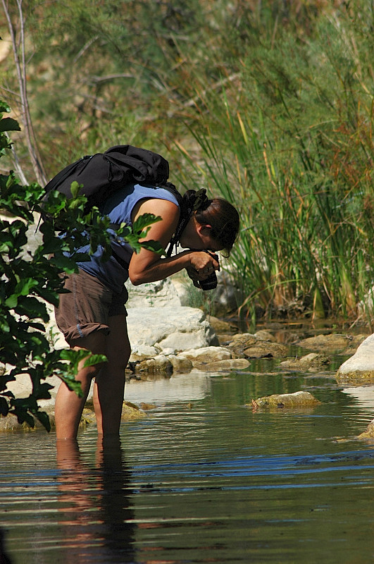 Rio Fiume (Tolfa) 2, la vendetta