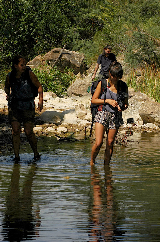 Rio Fiume (Tolfa) 2, la vendetta