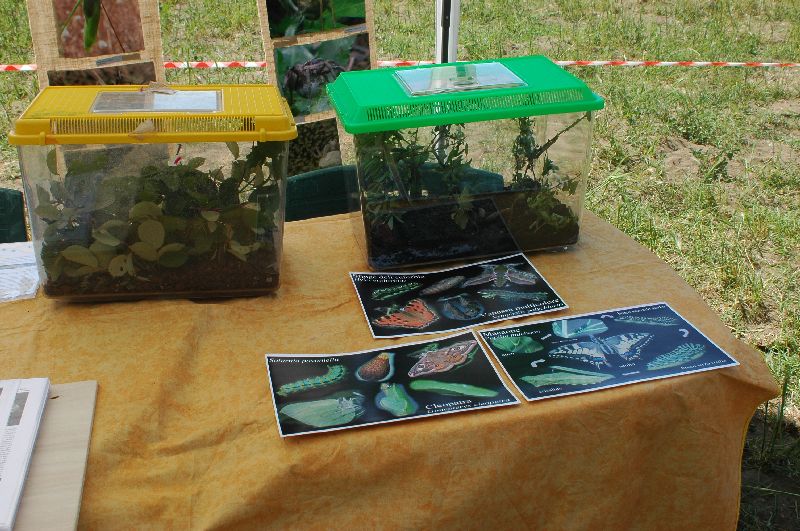 Giornata delle OASI WWF 2007