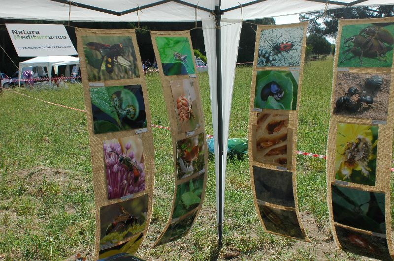 Giornata delle OASI WWF 2007
