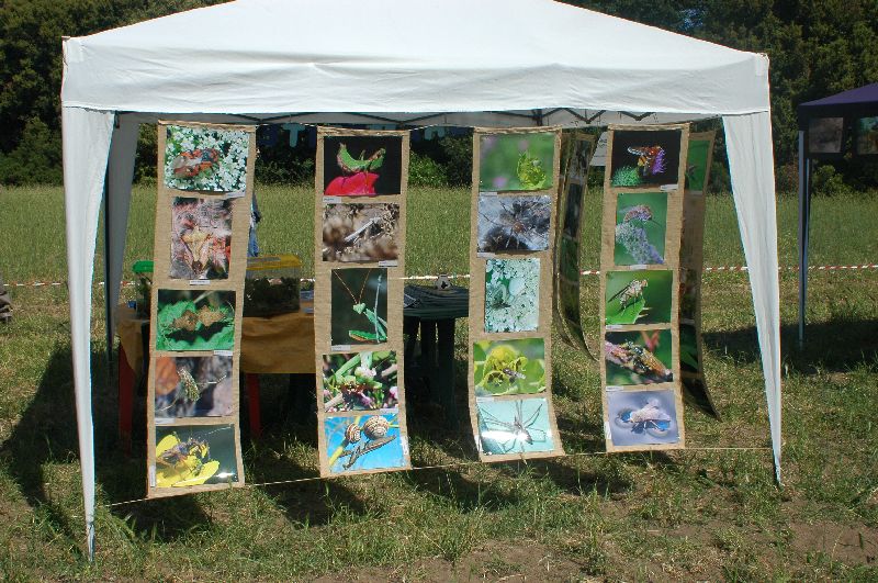 Giornata delle OASI WWF 2007
