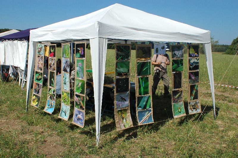 Giornata delle OASI WWF 2007