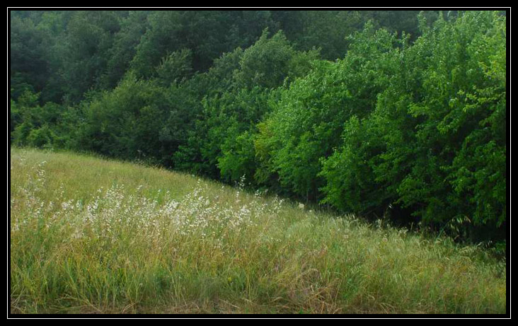 Le foto del Raduno di Monteveglio