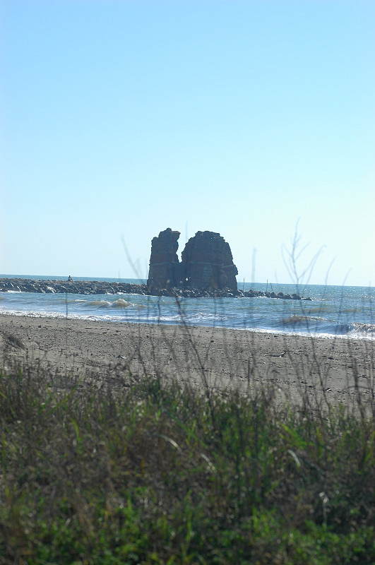 La palude di Torre Flavia