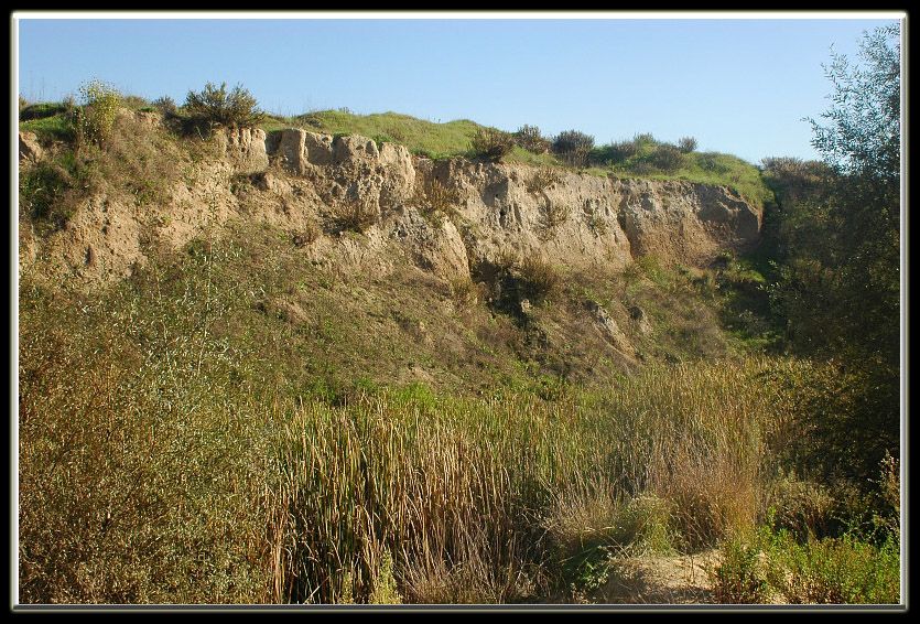 Castel di Guido (RM): un posto inaspettato