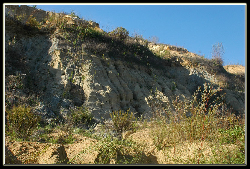 Castel di Guido (RM): un posto inaspettato