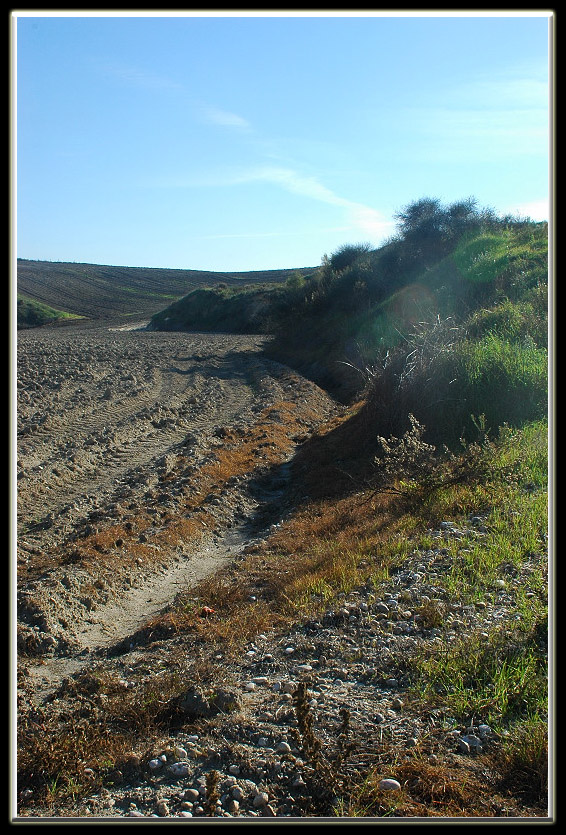 Castel di Guido (RM): un posto inaspettato