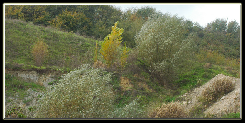 Castel di Guido (RM): un posto inaspettato