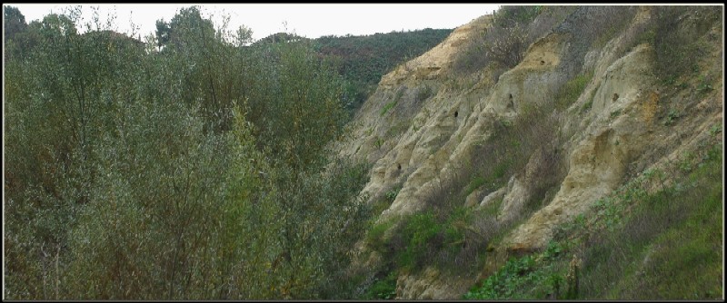 Castel di Guido (RM): un posto inaspettato