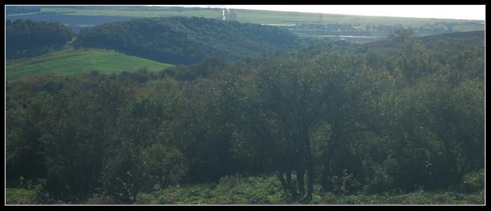 L''entroterra di Cerveteri