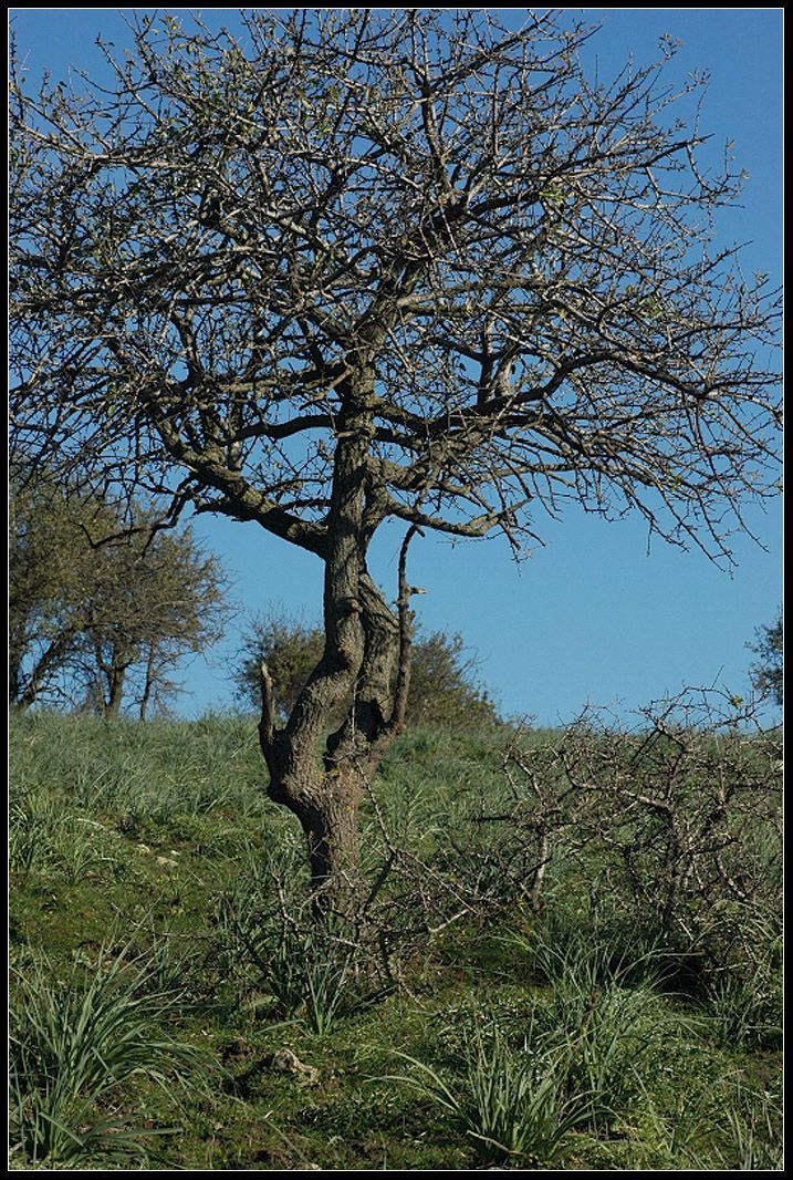 L''entroterra di Cerveteri