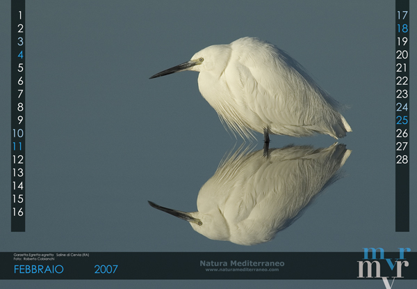 CALENDARIO DI NATURA MEDITERRANEO 2007