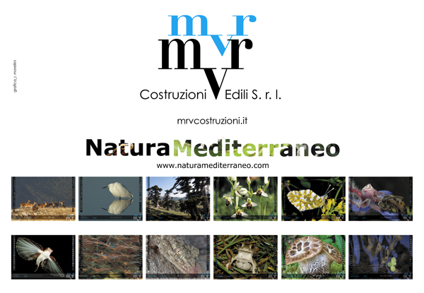 CALENDARIO DI NATURA MEDITERRANEO 2007