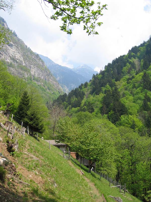 Val Cama - Canton Ticino (Svizzera)