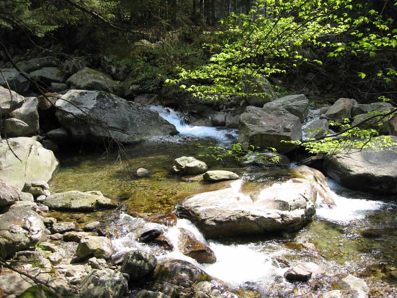 Val Cama - Canton Ticino (Svizzera)