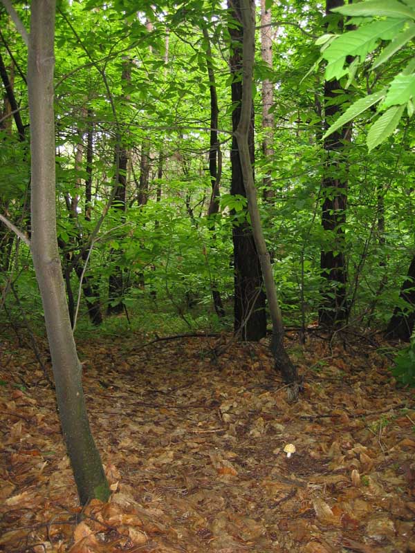 Ritrovamenti del 6 Maggio