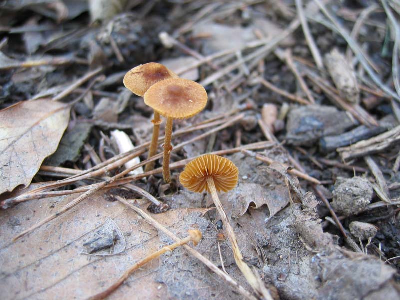 Escursione del  sabato pomeriggio