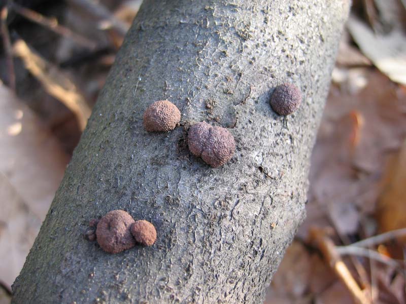 Escursione del  sabato pomeriggio