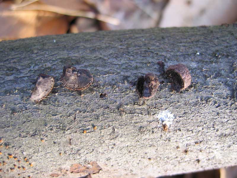 Escursione del  sabato pomeriggio