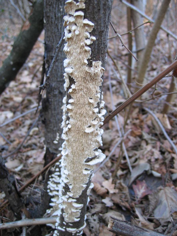 Escursione del  sabato pomeriggio