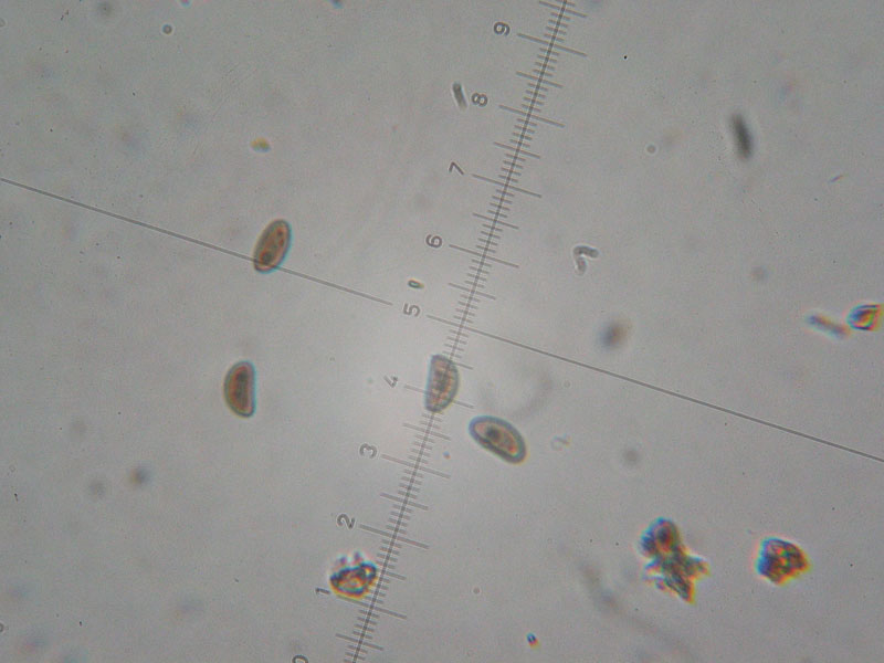 Escursione del  sabato pomeriggio