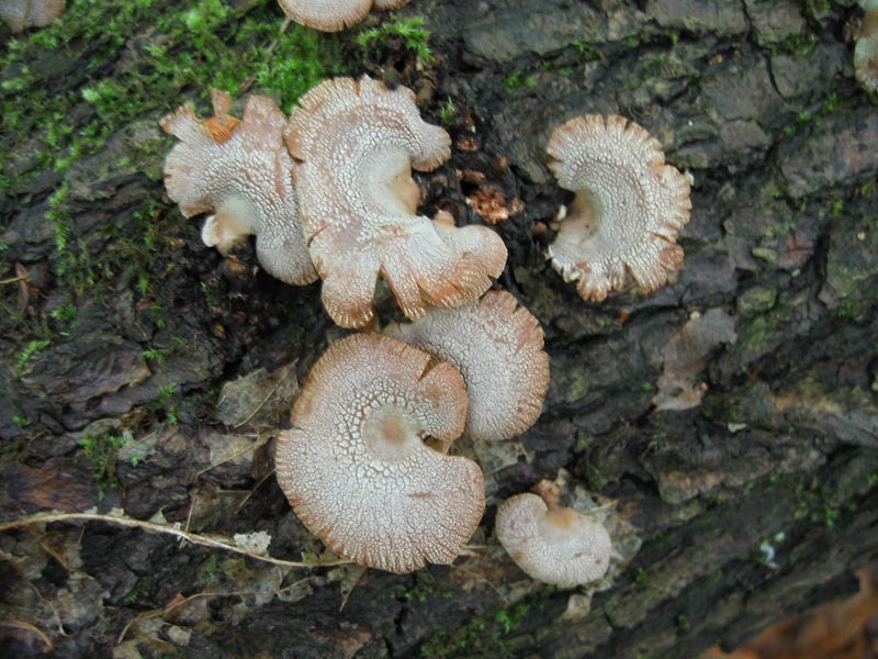 Ritrovamenti del 6 Maggio