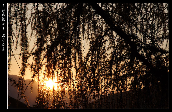 Ricordi di Monte Baldo