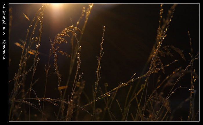 Ricordi di Monte Baldo