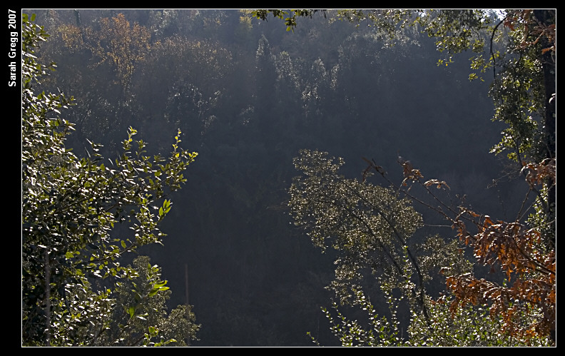 La valle Luterana e le cascate delle Ferriere