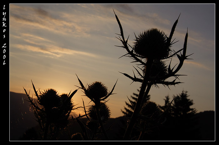 Ricordi di Monte Baldo
