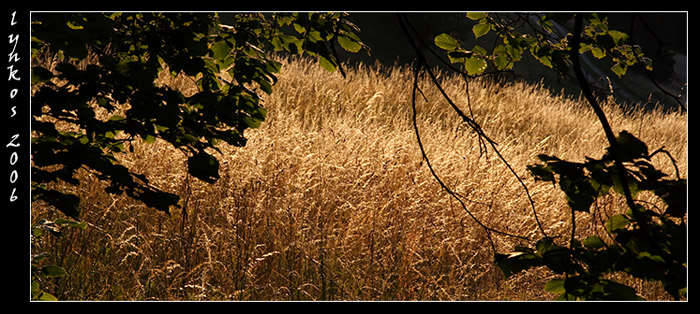 Ricordi di Monte Baldo