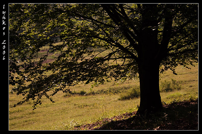 Ricordi di Monte Baldo